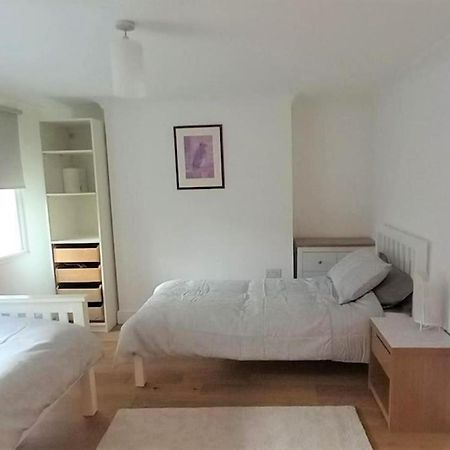2 Bedroom Victorian Garden Flat London Luaran gambar