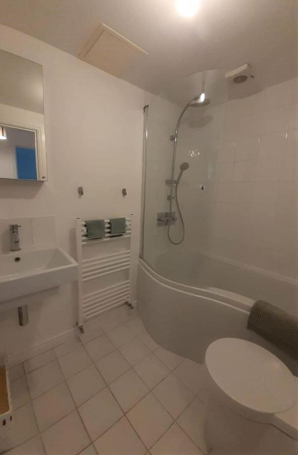 2 Bedroom Victorian Garden Flat London Luaran gambar