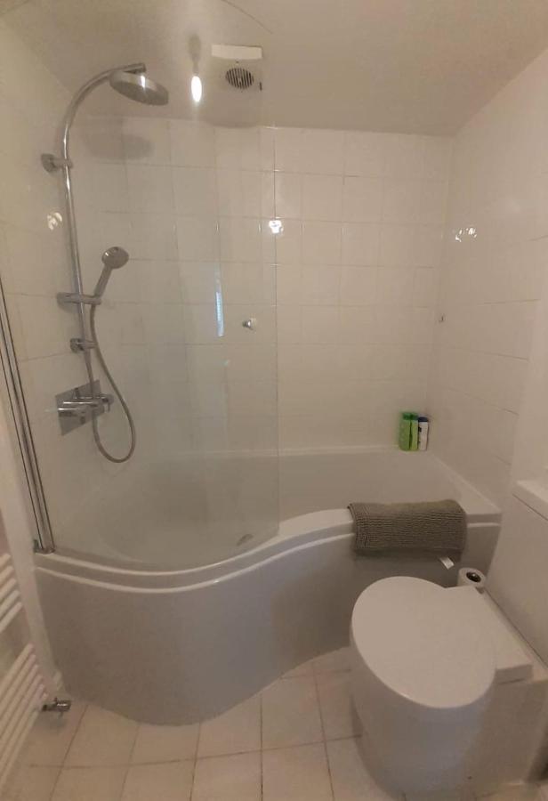 2 Bedroom Victorian Garden Flat London Luaran gambar